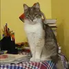 Отзыв от Зинаида Григорьева